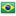 Liga Brazylijska